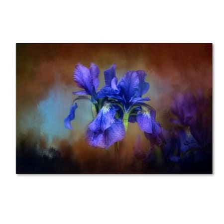 Jai Johnson 'Blue Iris Blooms' Canvas Art,22x32